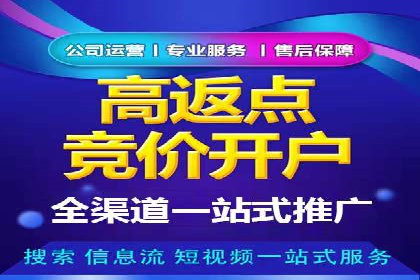 SEM推广案例：打造高效广告投放策略